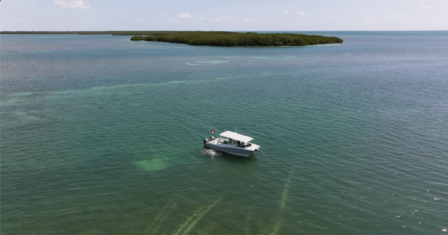 Boat floating on clear turquoise water near mangrove island, ideal for underwater adventures.