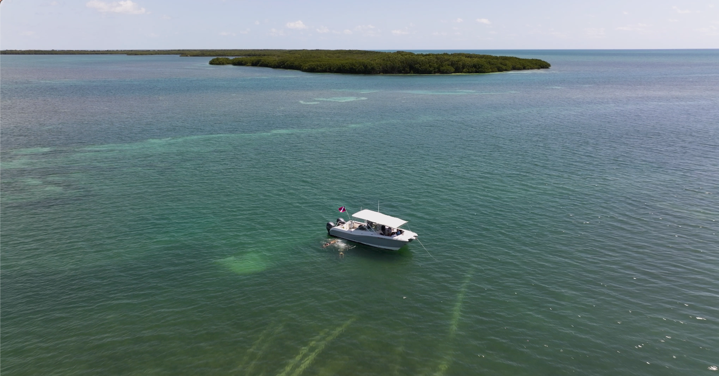 Exploring Miami Mangroves with the Marine 500 Seascooter