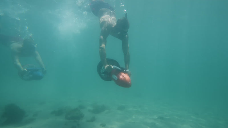 Marine Series Diving 